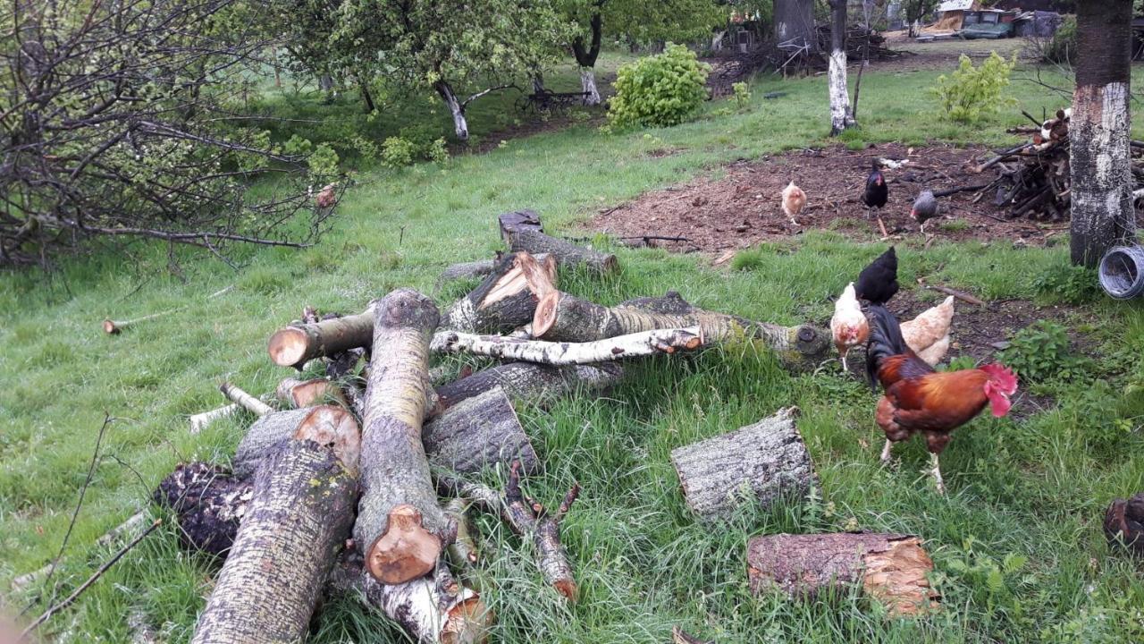Agroturystyka Brygadziaki Charbielin エクステリア 写真